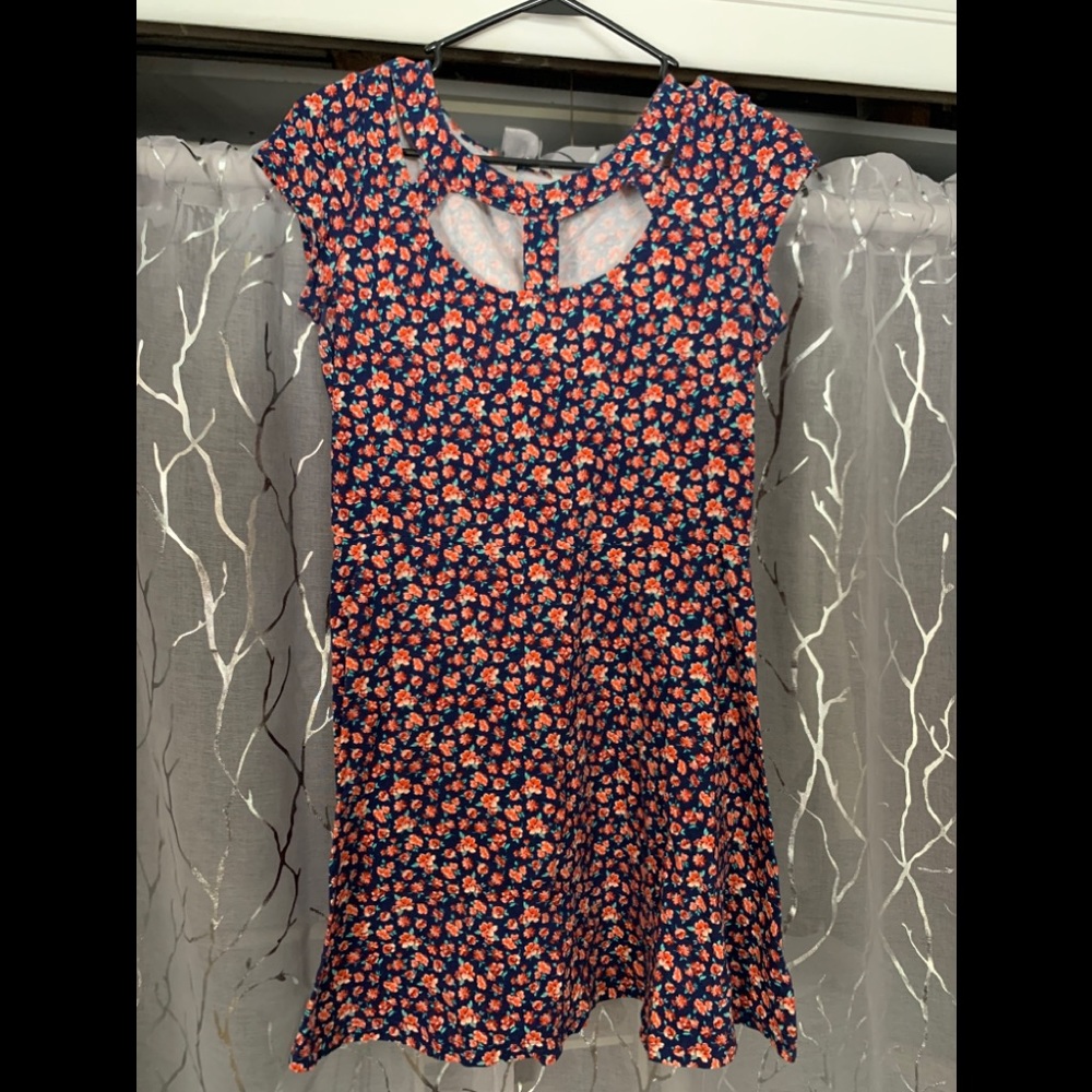American Eagle floral dress - Picture 1 of 5